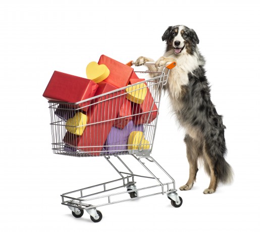 shutterstock_121378738 dog shopping